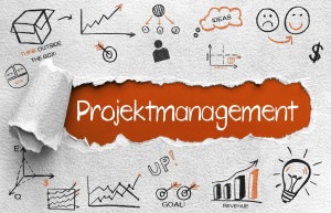 Projektmanagement Logo