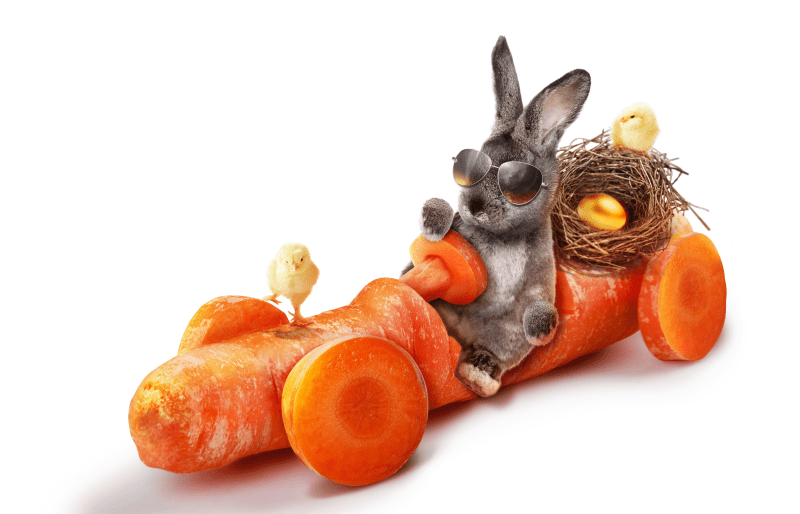 osterhase